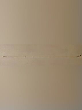 14K Gold Bracelet or Anklet
